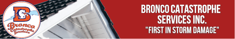 F I R S T - Freud Insurance Restoration Software Technology